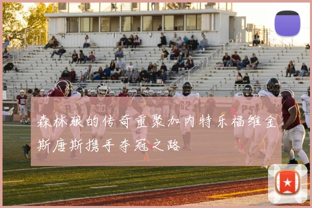 森林狼的传奇重聚加内特乐福维金斯唐斯携手夺冠之路