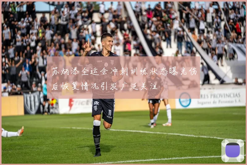 苏炳添全运会冲刺训练状态曝光伤后恢复情况引发广泛关注